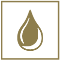 The Macallan Brand