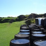 Ardbeg Perpetuum