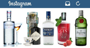 Top 5 Gin Brands