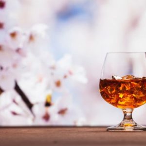 whisky tourist's guide to Japan
