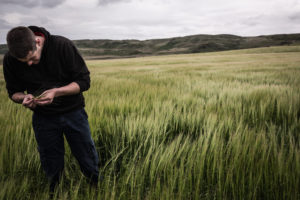Raymond Fletcher is part of Bruichladdichs Islay barley project