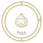 Figs_GD