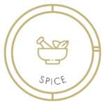 Spice_Icon_GD