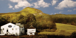 homepage distillery